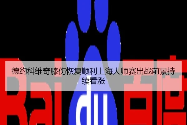 德约科维奇膝伤恢复顺利上海大师赛出战前景持续看涨
